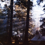 Sonnenlicht durchdringt die BÃ¤ume...