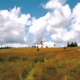 Eine Indianerbehausung