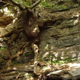 re-exposure-of-rotation-of-dsc05206