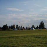 View towards tee trea