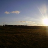 Food Circle At Sunset