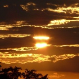 039 Sp Tsommer Rainbow 2007