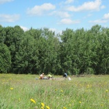 Sommersonnenwende 2009 Ort Des Maincircles