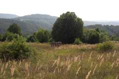 European gathering Serbien 2008