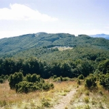 rainbow-italia-2002-lontano